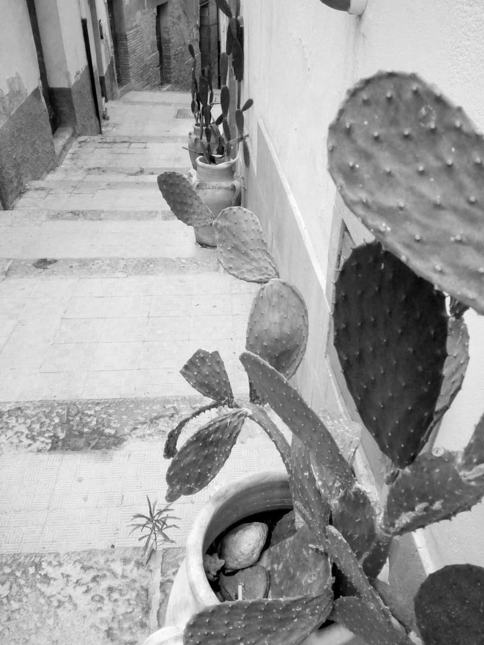 B&B Al Centro Storico Agrigento Luaran gambar